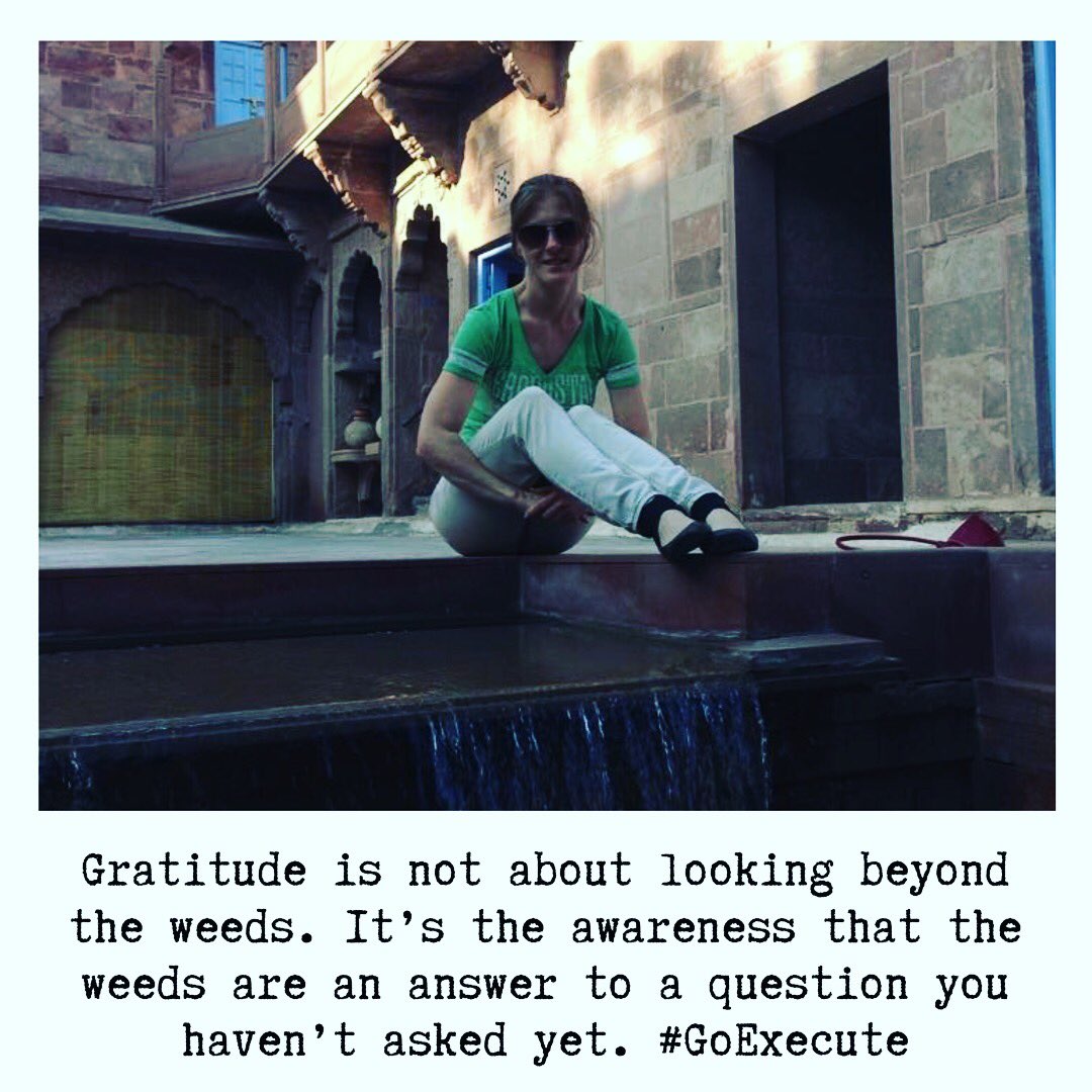 SROfficial1's tweet photo. “Gratitude is not about looking beyond the weeds. It’s the awareness that the weeds are an answer to a question you haven’t asked yet.” -Scarlett Ramey #GoExecute @garyveegang @justinnovello #askgaryvee #mondaymotivation #entrepreneur #cloudsanddirt #hustle #success https://t.co/8Qp20nwyuT