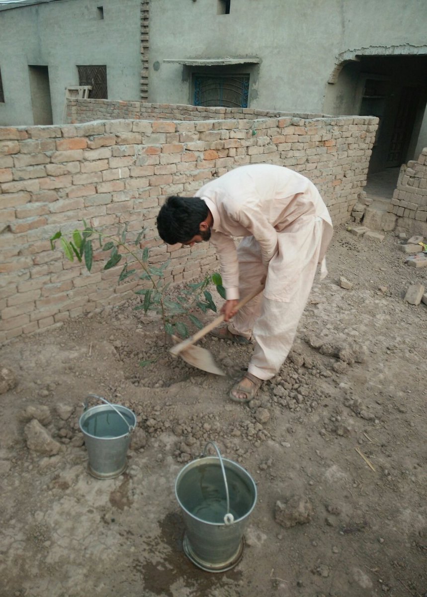 Tree 🌳 Plantation campaign with my beloved brothers 😍 #YouthKaGreenPakistan #TreePlantation