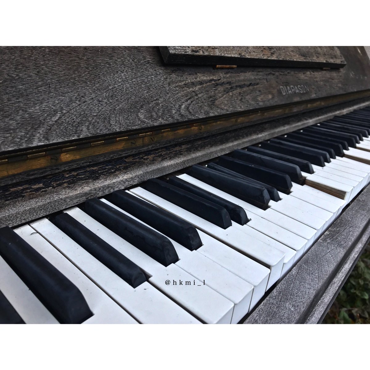 hkmi_l's tweet photo. まだ 生きている。

#ファインダー越しの私の世界
#写真撮ってる人と繋がりたい
#写真好きな人と繋がりたい
#photography #coregraphy
#piano #yet #living #her https://t.co/FvcHLoUykG