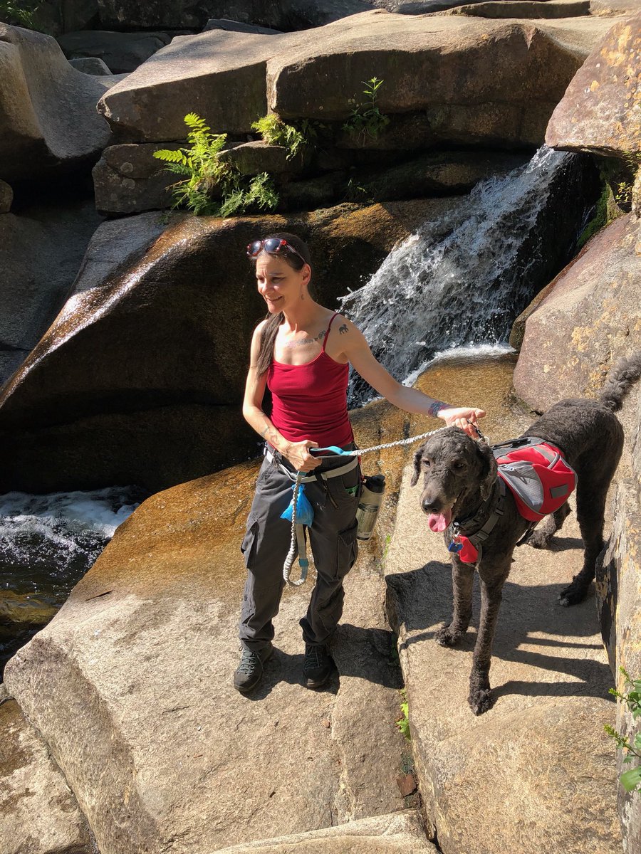 laceyloves2hike's tweet photo. Got my hair cut, went hiking with My mom, family and friends #LaceyTheDog #WhiteMountainsNH #WhiteMountains #hikingdog #dinnasbaths #naturelover #BeautifulDays2018 #followthedog #hikingadventures #hike #getoutdoors 12 miles more pics to come! ๐พ๐ Lacey https://t.co/HNswZaVnIV