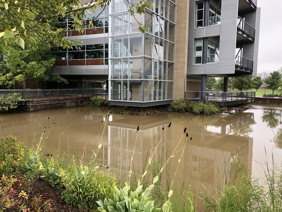 goatsmoat's tweet photo. Rainy days mean rising water levels at the #moat. Check out this #beforeandafter https://t.co/TmNfqP6bFk