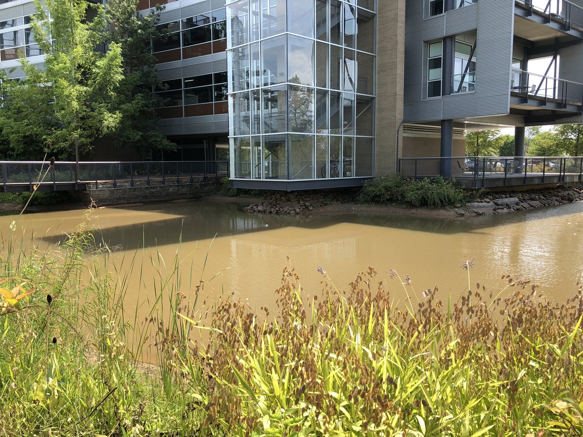 goatsmoat's tweet photo. Rainy days mean rising water levels at the #moat. Check out this #beforeandafter https://t.co/TmNfqP6bFk