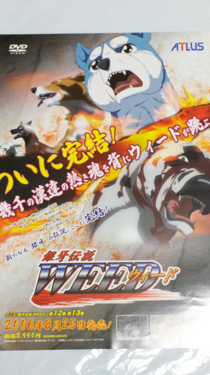 中原伸明 銀牙 ２００８年 アニメ銀牙伝説weedのdvd Boxが ８月下旬に発売が決まりました 当時のゴラクで 広告が 載っていました そして電化製品の店では チラシも出ていましたね