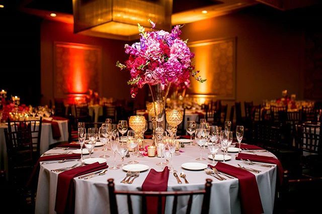 Estate_Chicago's tweet photo. Modern centerpieces by Flowerville were bountiful in blooms and beauty, adding texture and height throughout this fuchsia reception. || Venue: @estate_chicago | Photography: @robbdavidsonphotography | Design & Flowers: #Flowerville https://t.co/l3JW1KsNDB