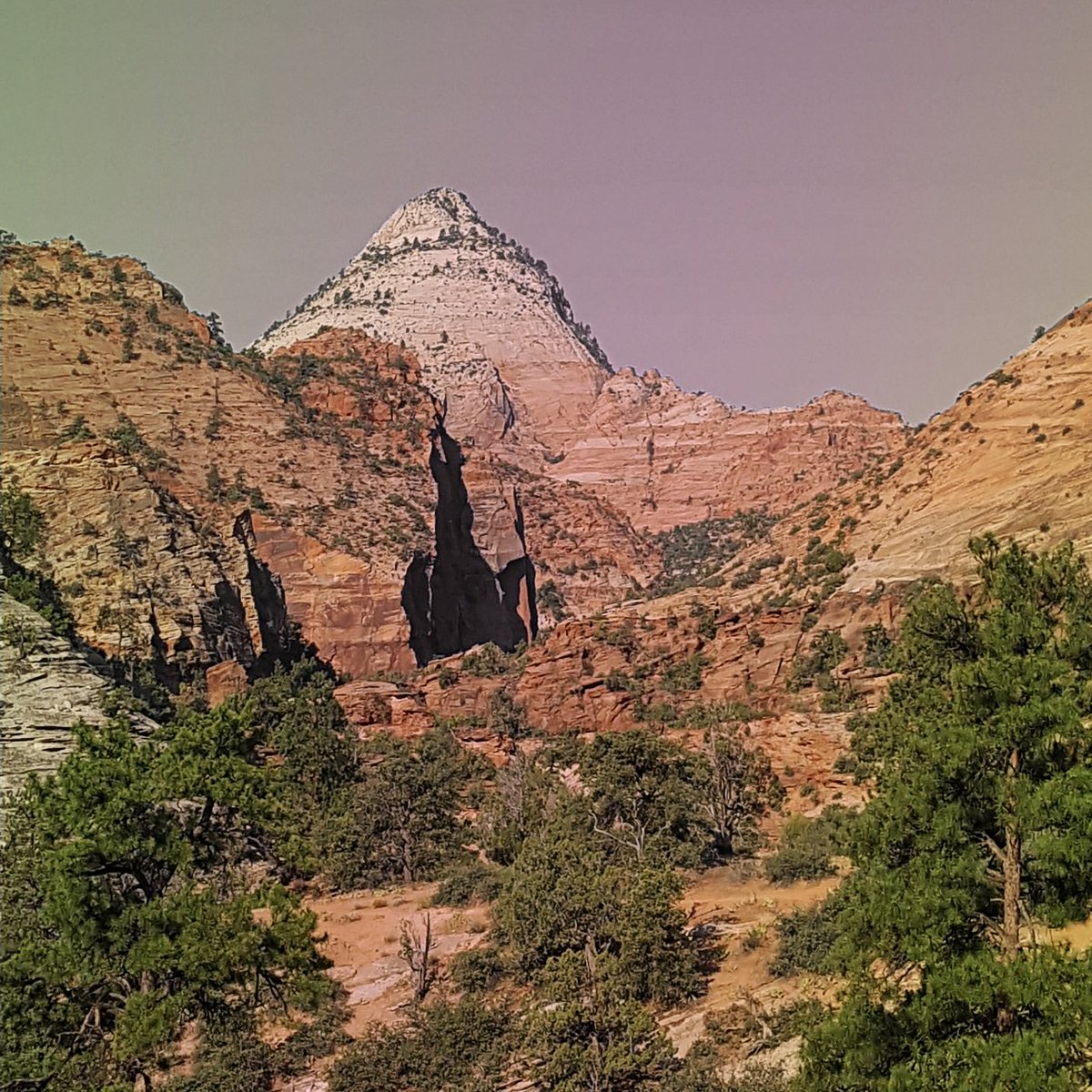 randomroger's tweet image. We should all try to #dosomethingcreative everyday, my thing is photography, this one is from #zionnationalpark
