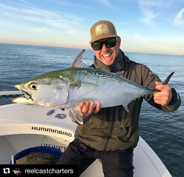 AnglersMusic's tweet photo. #Repost @reelcastcharters ・・・
Albie season is fast approaching and should heat up in September. Come fish the fall run with us! #reelcastcharters #minnkotamotors #MinnKota #spotlock #humminbird #humminbirdfishing #humminbirdelectronics #MEGAimaging #… https://t.co/xqlFjfIsJW https://t.co/8noVNfxpRE