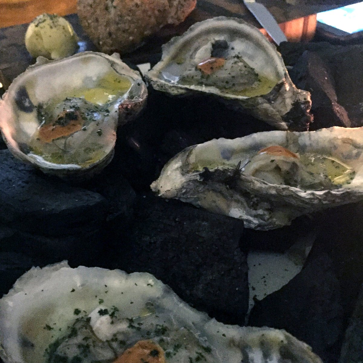 jmurworld's tweet photo. I rarely post food pics, but these oysters from @blanco_colima were the best I have ever eaten

@visitmexico  
#jmurworld #mexico #mexicocity #vlogger #visitmexico #adventure #travel #oysters #blancocolima https://t.co/ckhA0cjad5