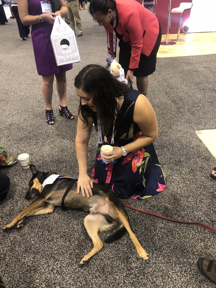 DAKainrath's tweet photo. Best booth at #ASAE18 @NaylorLLC #ctcorps https://t.co/VnyorVQgkI