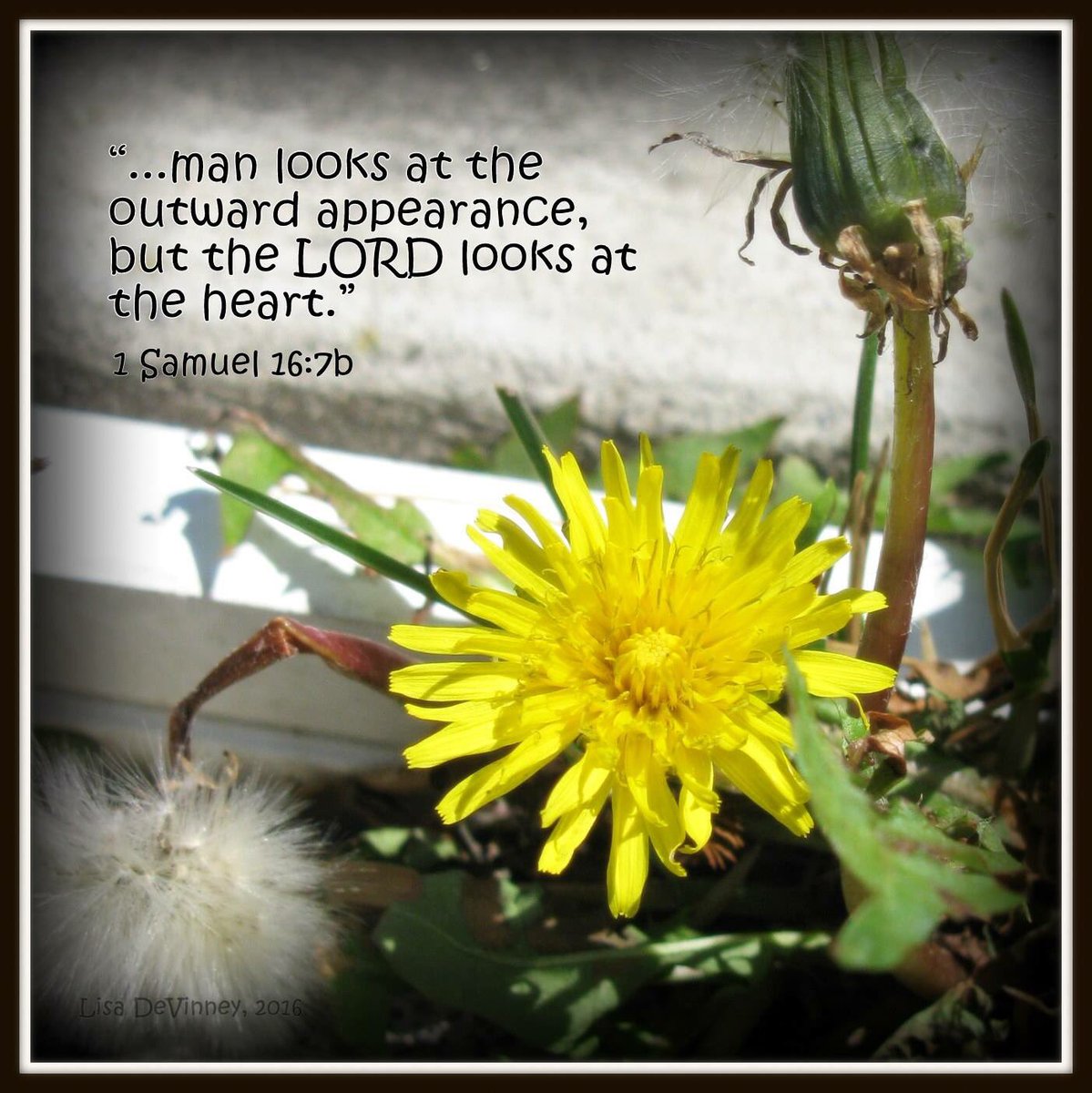 Lisa DeVinney (@lldevinney) on Twitter photo 