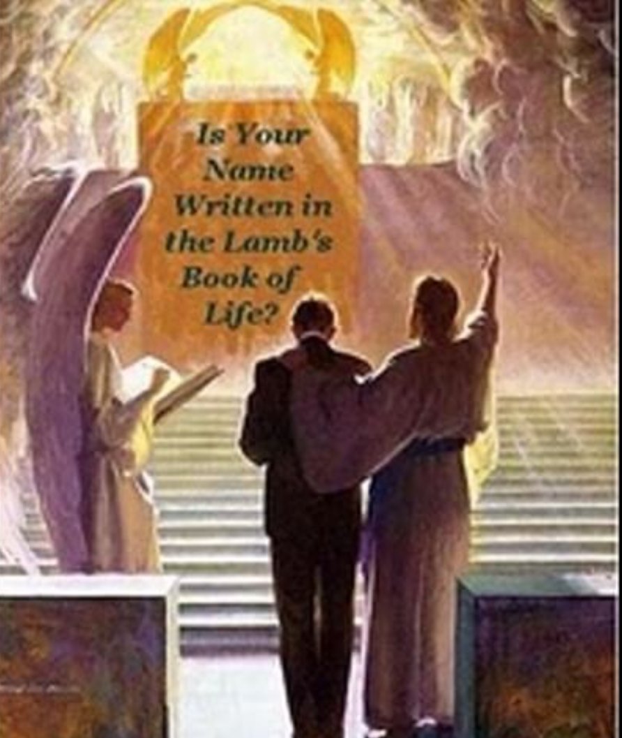 JjRedWave tweet media