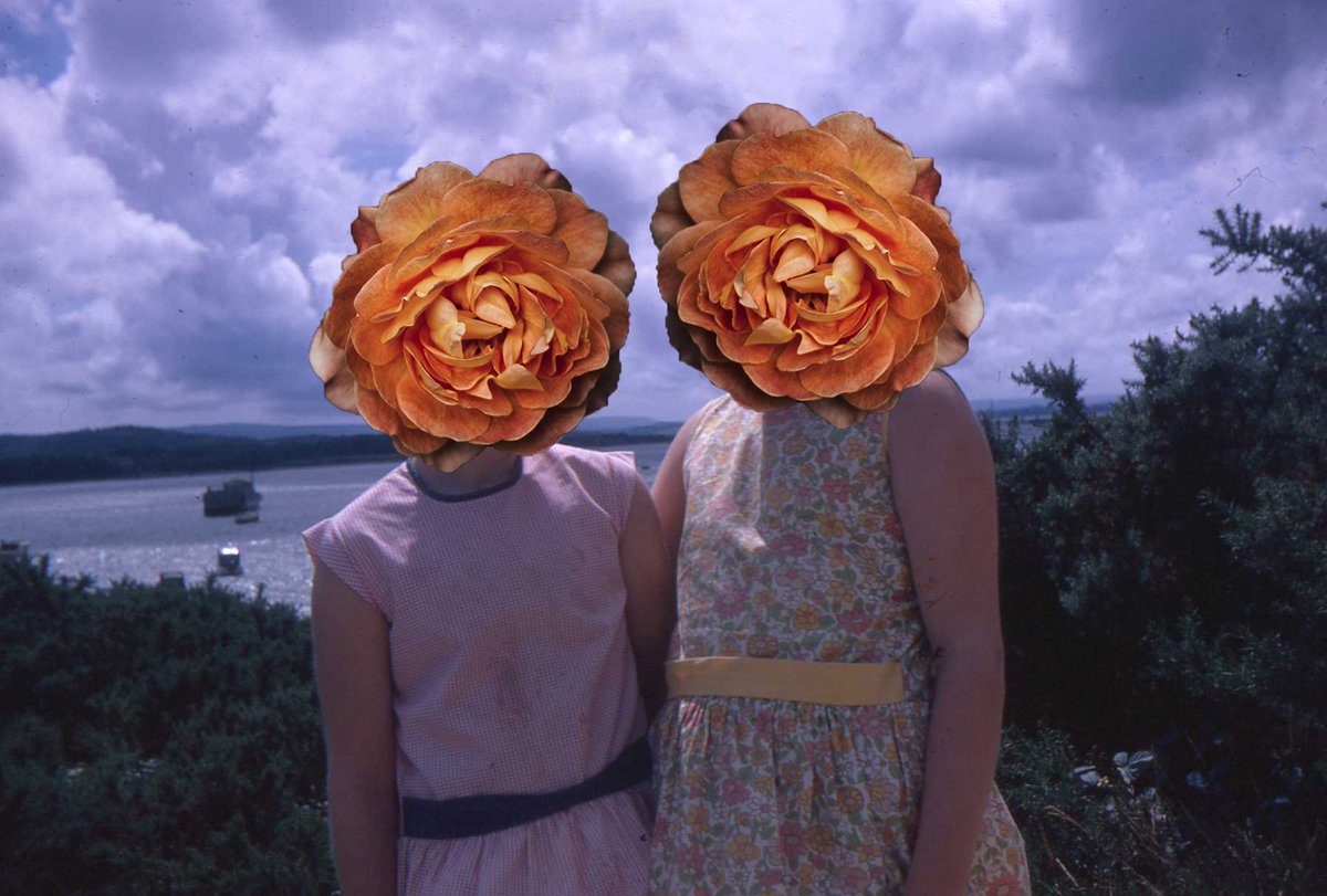 charlotteemvio's tweet photo. Sisters. #artist #artwork #oldslide #family #sisters #flowers #collage #collageart https://t.co/KXIKiCa66u
