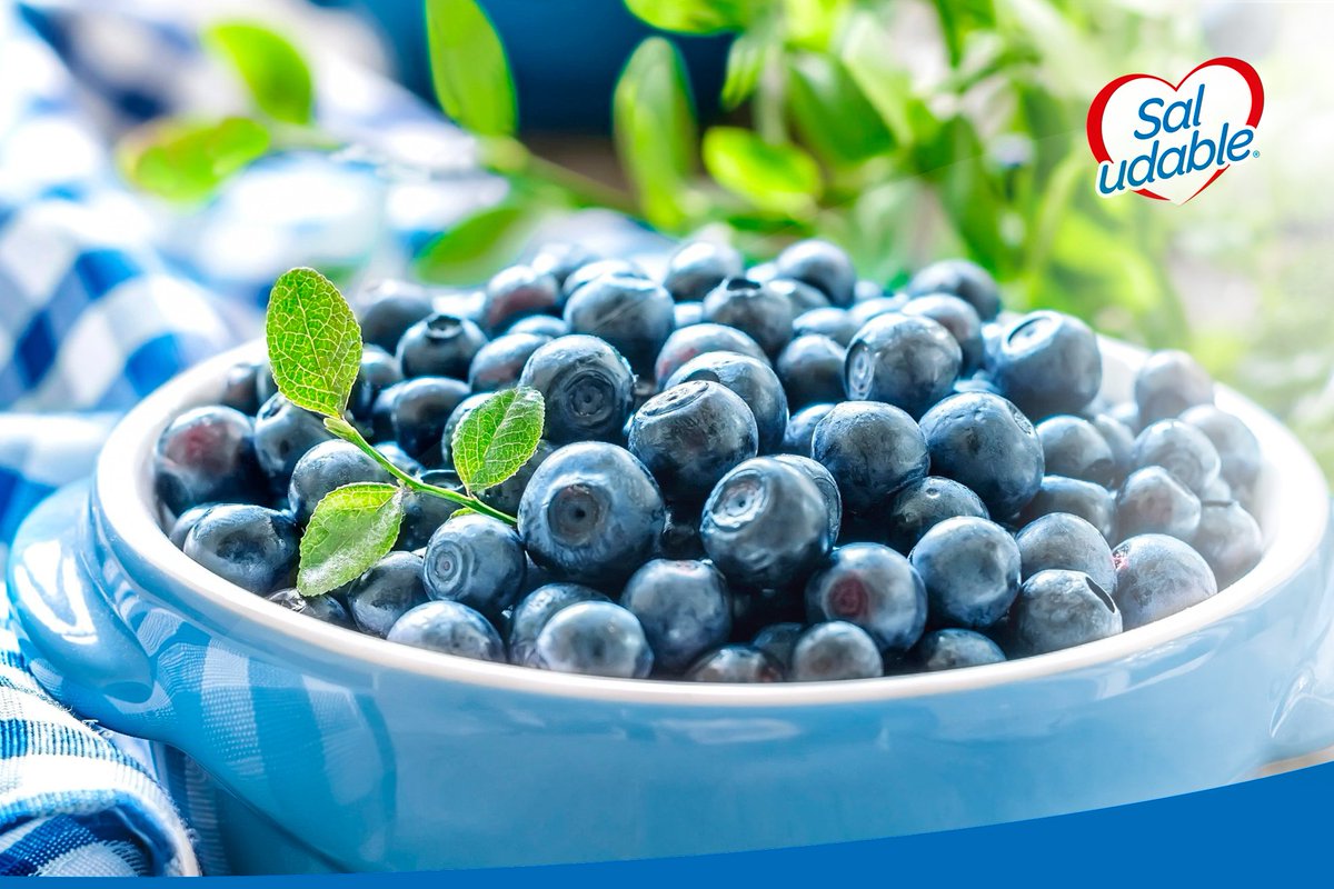 Saludable_arg's tweet photo. 😀Feliz semana! Comenzamos con nuestros tips saludables para que disfrutes de una excelente salud!
☑️Si padeces de PRESIÓN ARTERIAL ALTA, consumir una taza de arándanos al día ayuda a reducirla.
#arandanos #hipertension #salud https://t.co/7a9TxELNcv