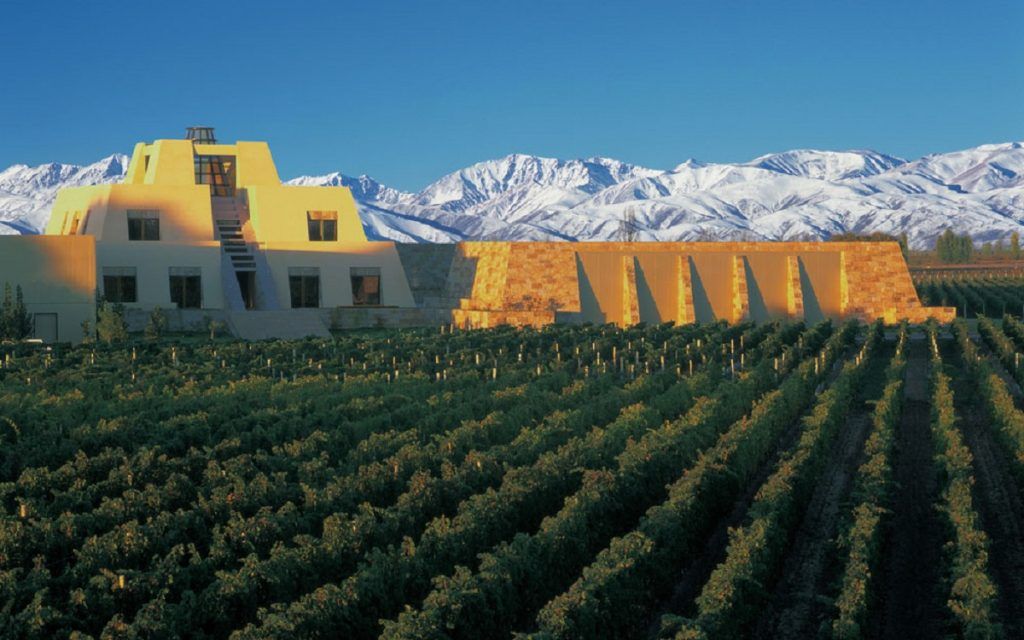 FISARNazionale's tweet photo. Dai cervelli in fuga nascono grandi idee (anche in cantina) https://t.co/I2lfSUMTOv via @Civiltabere #vino #Italy #USA https://t.co/YAjiQA9RRK
