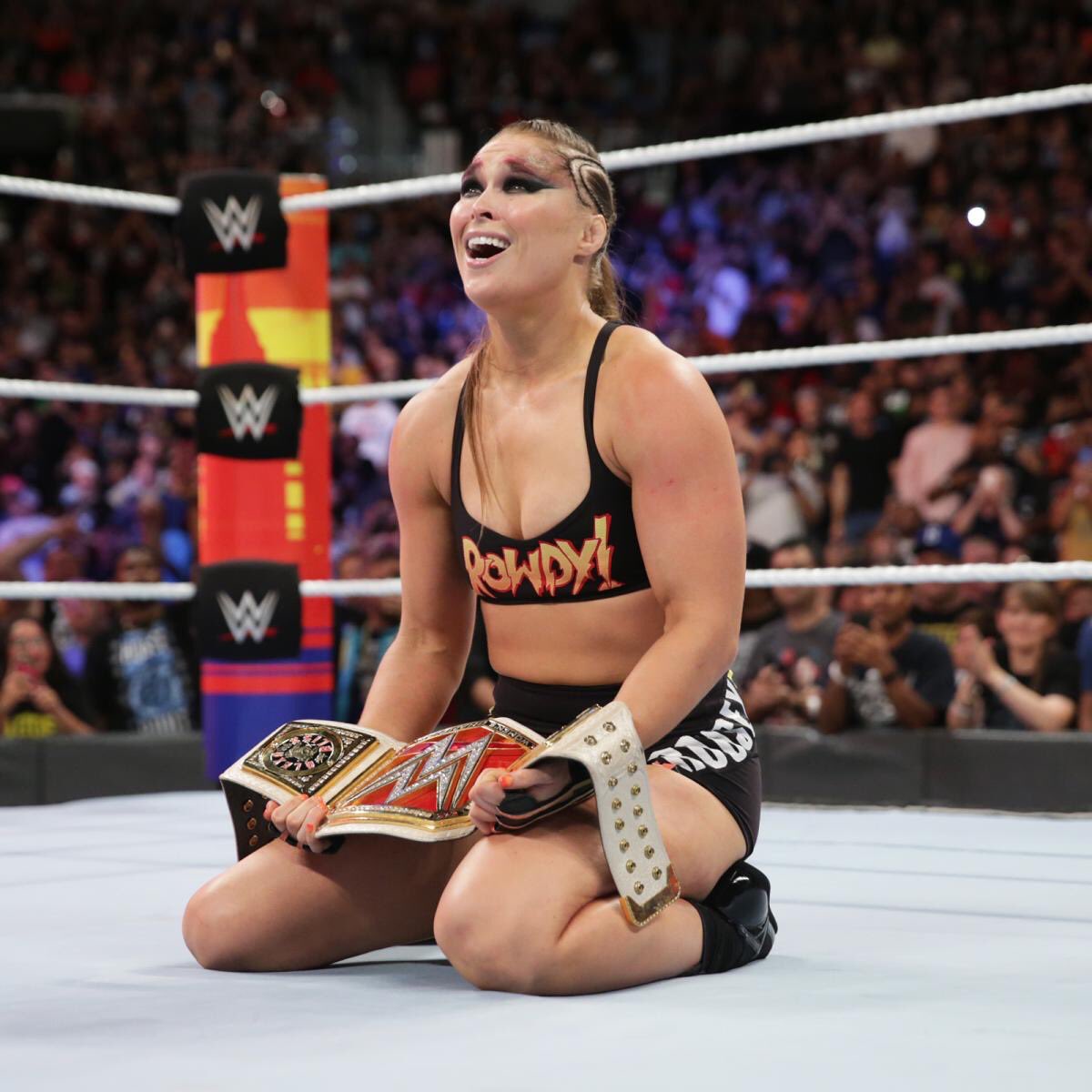 TripleH's tweet image. New champions, the surprise return of a Demon, friendships torn apart, incredible action and so much HISTORY made in just one night.
And all in front of a SOLD OUT crowd @BarclaysCenter. 
#ThankYou to everyone in attendance and everyone who watched on the @WWENetwork!