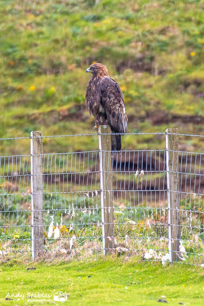 Alison On Twitter Secret Location For Picnic Monday As We