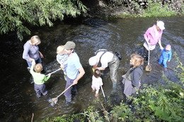 TidalCrane's tweet photo. River dipping we start them Young https://t.co/kH6R9Xc4CC