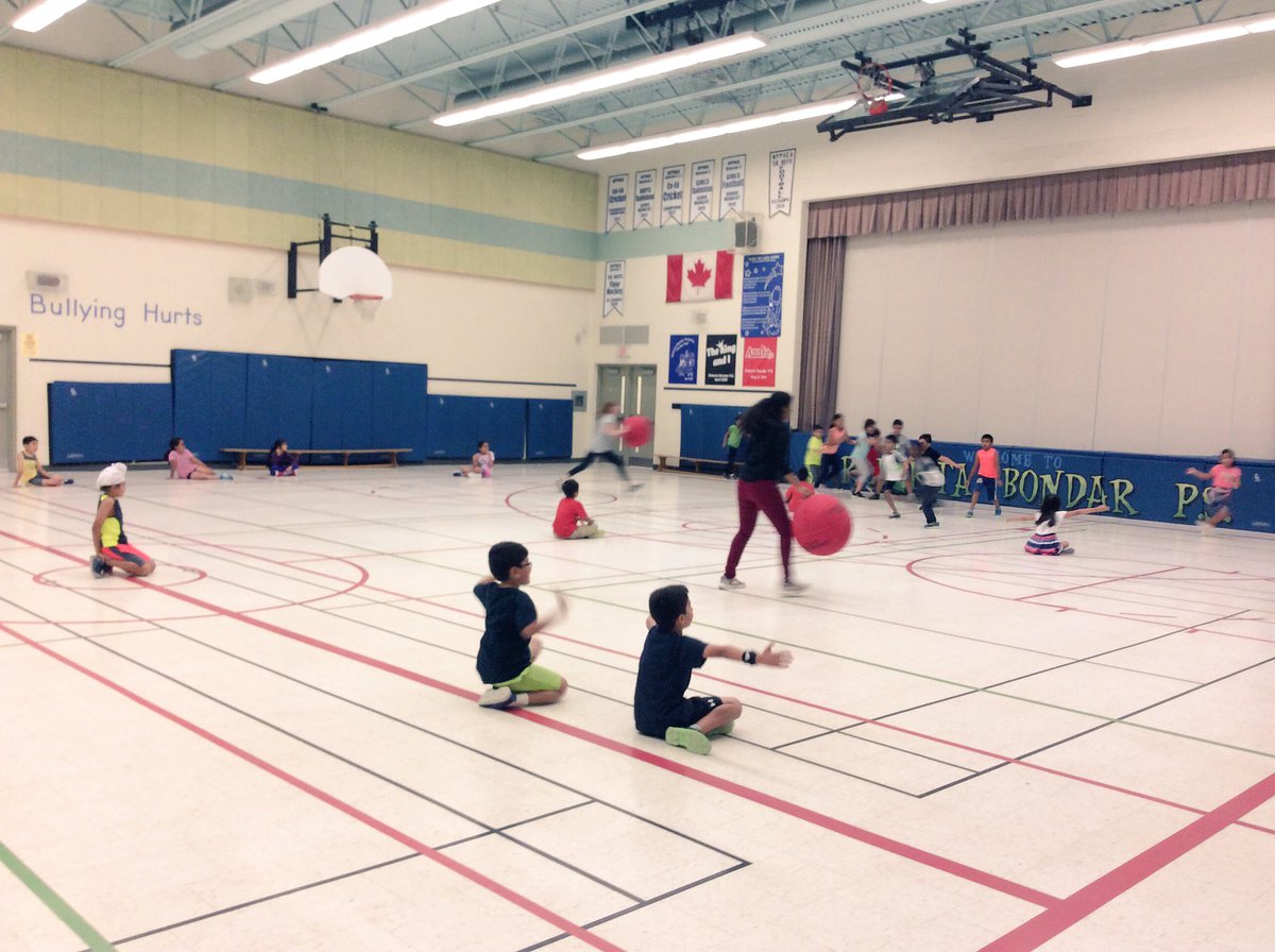 BobcatsPhysed's tweet photo. A little Omnikin Six Octopus!! @RBPSBobcats https://t.co/riVJSXn3Js