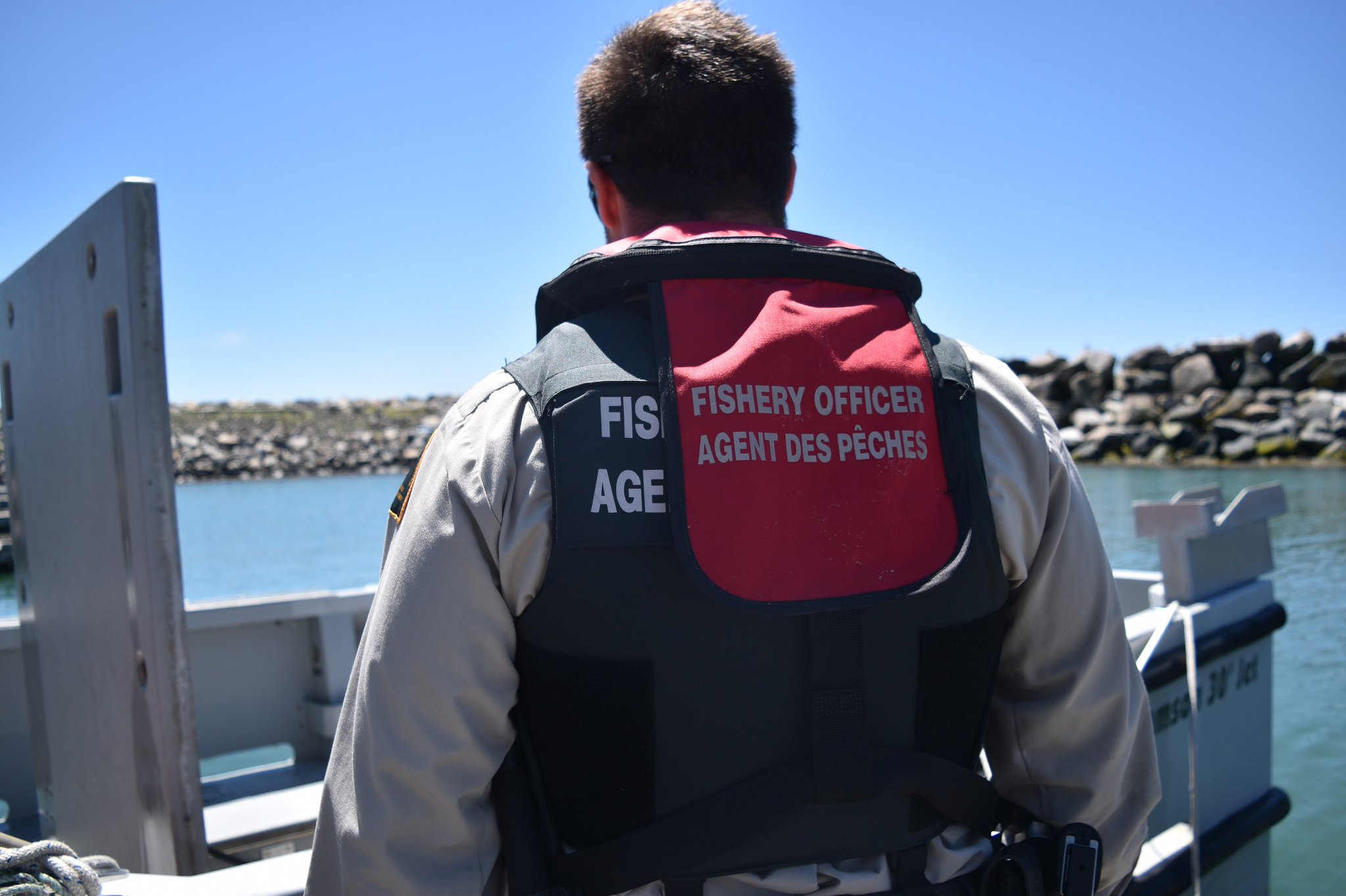 MPO Maritimes on Twitter: 