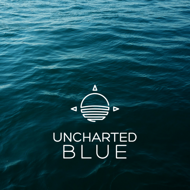 MEET UNCHARTED BLUE // a new org joining adventure seekers with world-renowned scientists and marine tech to fuel ocean exploration &amp; conservation. Currently recruiting novice and expert explorers for upcoming expeditions! Visit unchartedblue.com for more info