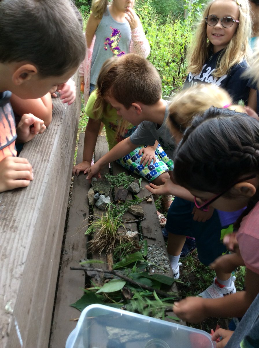 mhelmuth14's tweet photo. Third graders created the perfect habitat for their caterpillar! #cpsscience101 @RUSBLVD https://t.co/3atwNFODIm