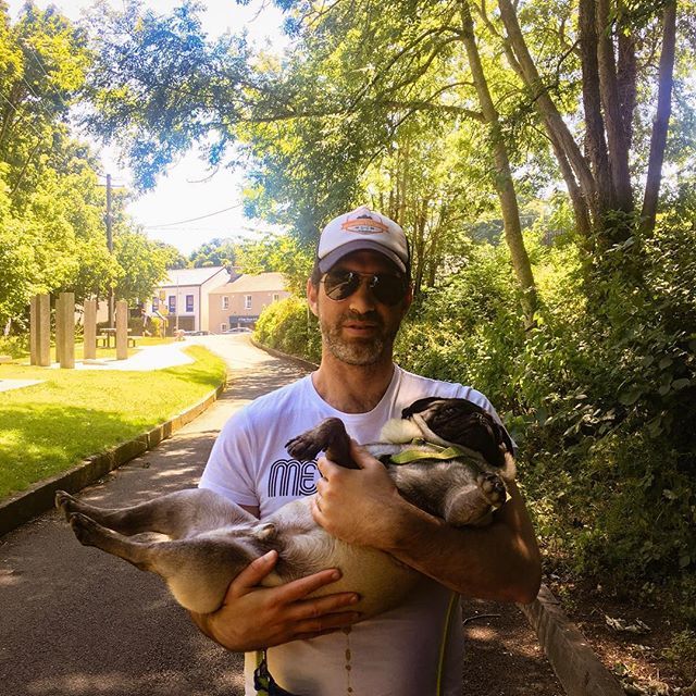 thisisus_living's tweet photo. Sometimes it’s easier to ask someone to carry you than to try walk it alone... Jack knows exactly when he has had enough walkies 🐶⠀
⠀
#leixlip #countykildare #kildare #riverliffey #liffeyriver #cokildare #irishcountryside #irishcountryliving #irishco… https://t.co/NBOFWWIMKr https://t.co/mz7Gwb17uG