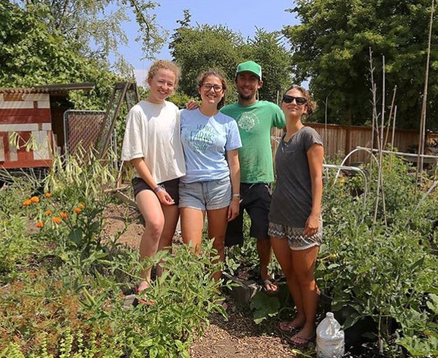 L’#agricultureurbaine x #restaurants = nouvelle combinaison gagnante ? 🍅
A #seattle <a href="/EatYourYard/">Edible Landscapes Inc</a> cultive dans les cours des restaurants pour des produits toujours +#frais ! 
<a href="/Paris/">Paris</a> à vous de jouer ;)