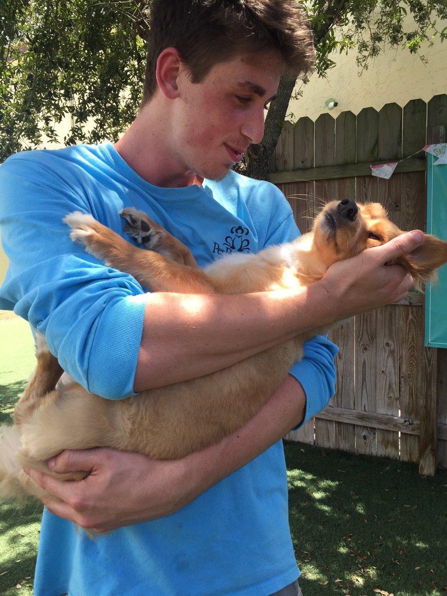 PPRNaples's tweet image. Nothing sweeter than playing around the yard and then running up to us for cuddles! Here's Vangogh and our associate Ryan sharing a sweet moment during play time 😍❤️🐶 #petparadiseresort #petparadisenaples #puppylove #boarding #daycare