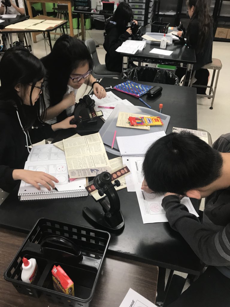 WSB3_ITS's tweet photo. @alief_middle cubs view cells and organ tissues #microviewers #cells #tissue #levelsoforganization #eurkaryotic #prokaryotic @AliefScience @Region4Science https://t.co/cZYIXwgu4t