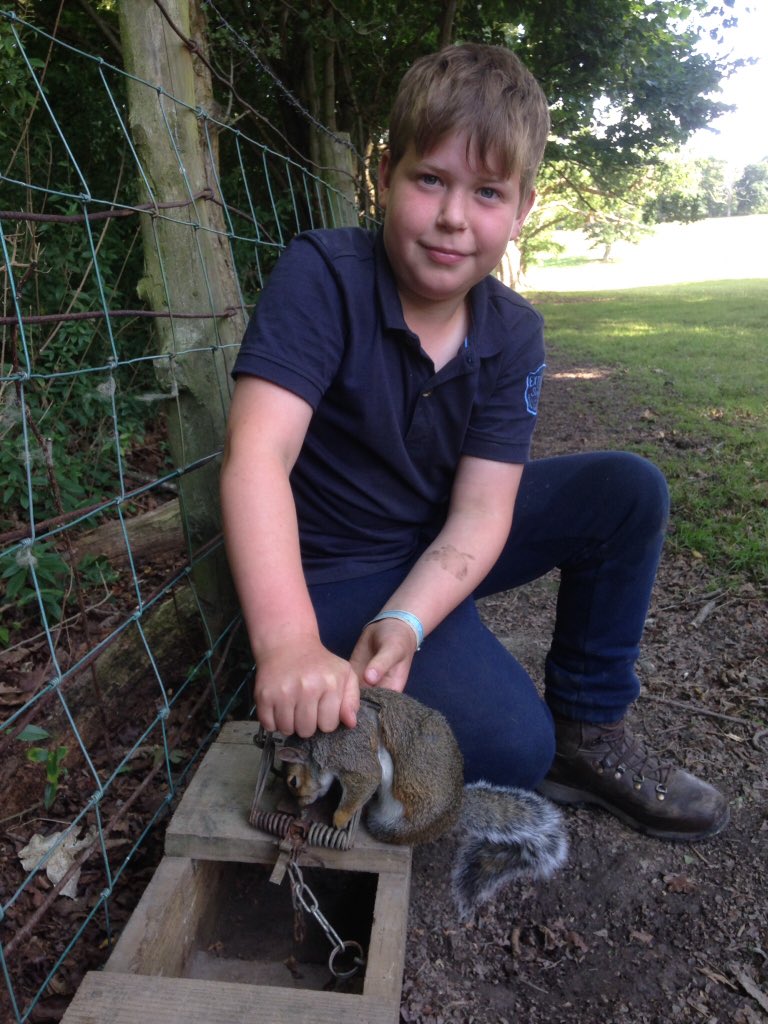 grj243's tweet image. Today’s success is tomorrow’s motivation #vermincontrol #greysquirrels #woodlandmanagment #keepingthebalance #countrykids