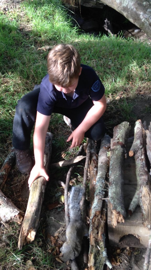 grj243's tweet image. Today’s success is tomorrow’s motivation #vermincontrol #greysquirrels #woodlandmanagment #keepingthebalance #countrykids