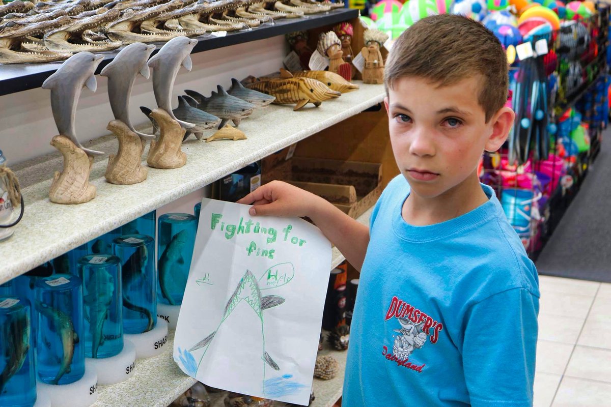 FightingForFins tweet media