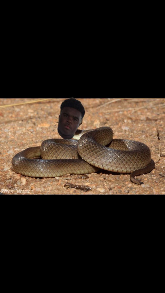 NeaseSection's tweet image. You win some... you lose some... but in this case we didn’t lose anything