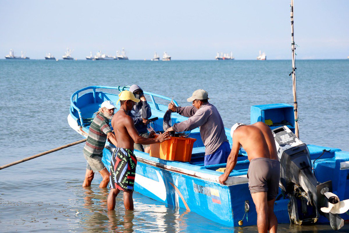 MinAcuaPescaEc's tweet photo. MANTA | Los pescadores artesanales continuaron sus faenas sin contratiempos en esta localidad de Manabí. | #PaísPesqueroEnMarcha https://t.co/7tjRpVyrQw