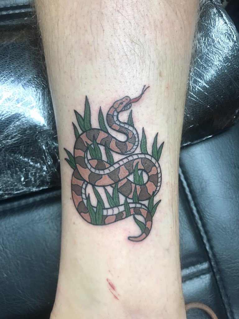 copperhead snake tattooTikTok Search