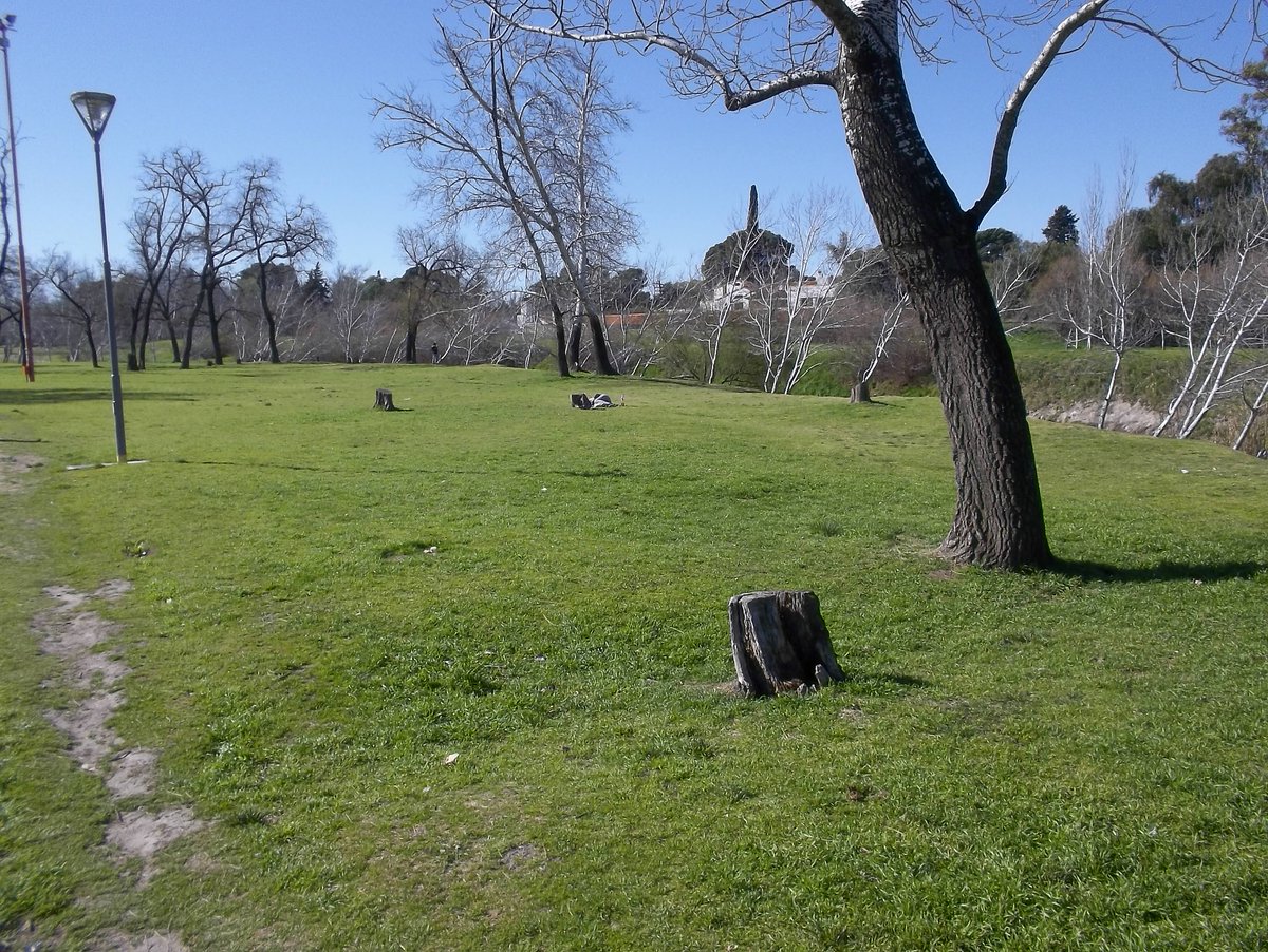 busacca_leonel's tweet photo. #BuenLunes Parque de Mayo. Bahía Blanca. https://t.co/zomF9loJXe