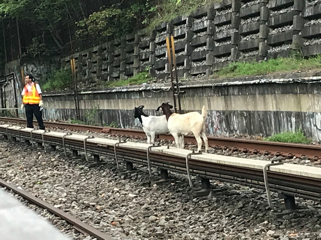 theKONGLIST's tweet image. — ONLY IN NEW YORK SH*TTY — #MTA #NTrain #IBahNewYork #NewGoatCity