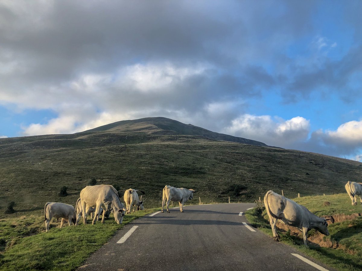 Meteo_Pyrenees's tweet photo. Col d’Agnes👉Port de Lhers #ariege #pyrenees #portdelhers #auluslesbains #vicdessos #coldagnes https://t.co/XyBU3mqE9N