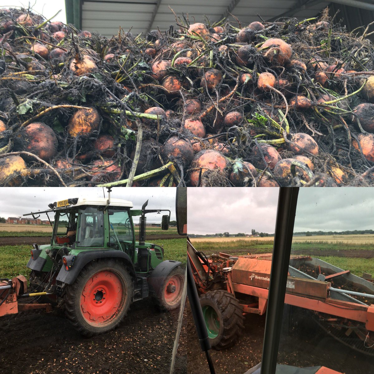 H&P Ascroft tweet media