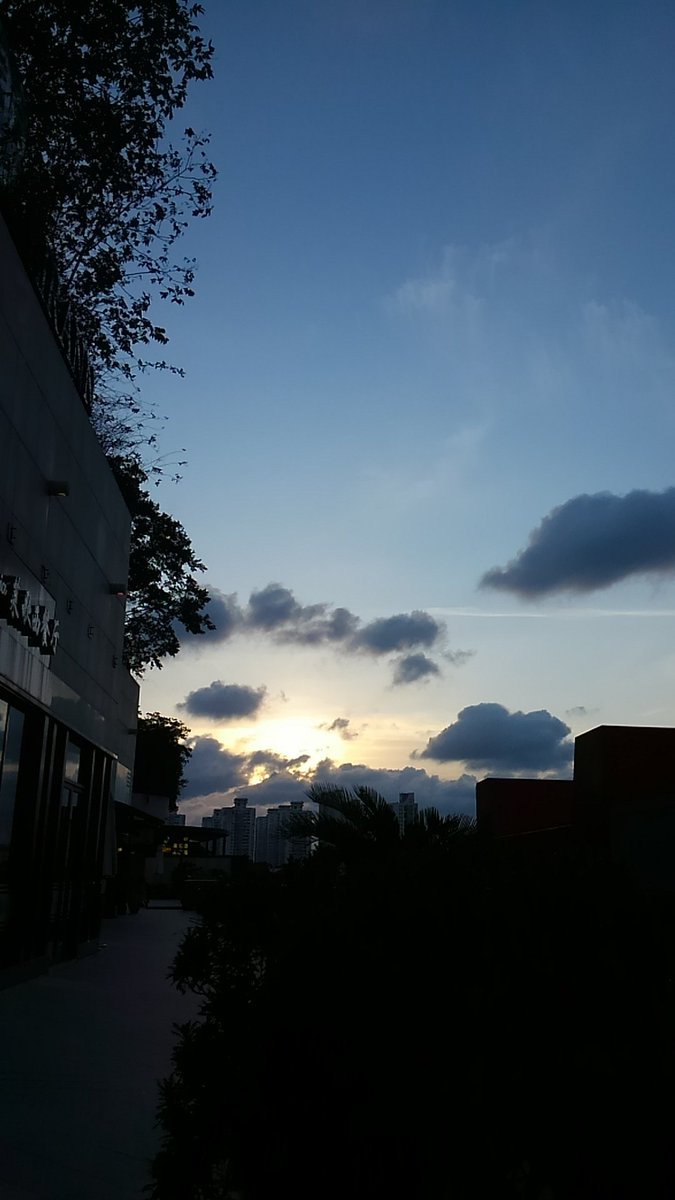 上海にて
テラスで早めの晩飯を堪能しました