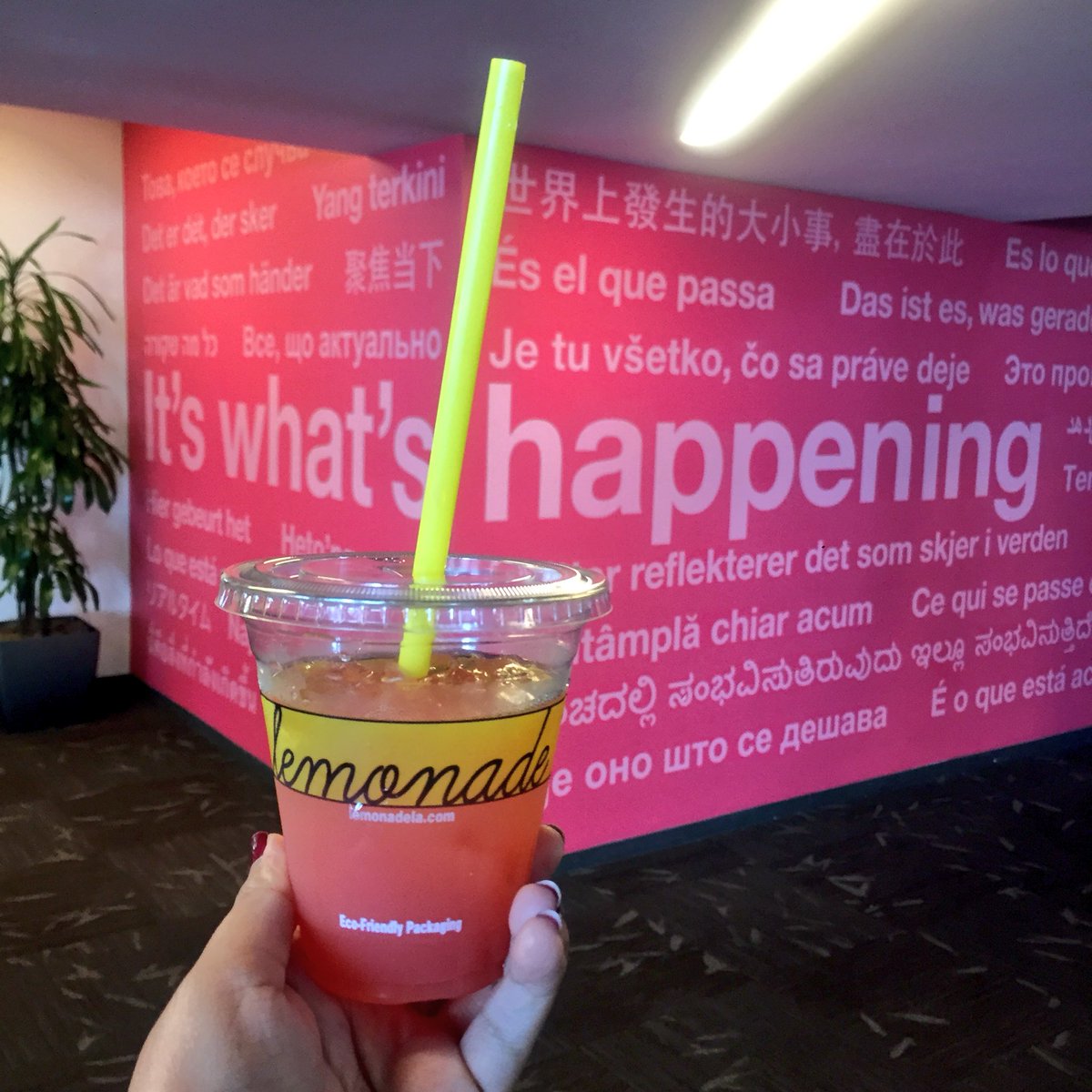 Roopdidoo's tweet photo. The pic says it all! #DrinkColorfully #NationalLemonadeDay https://t.co/yVbzeByEiA