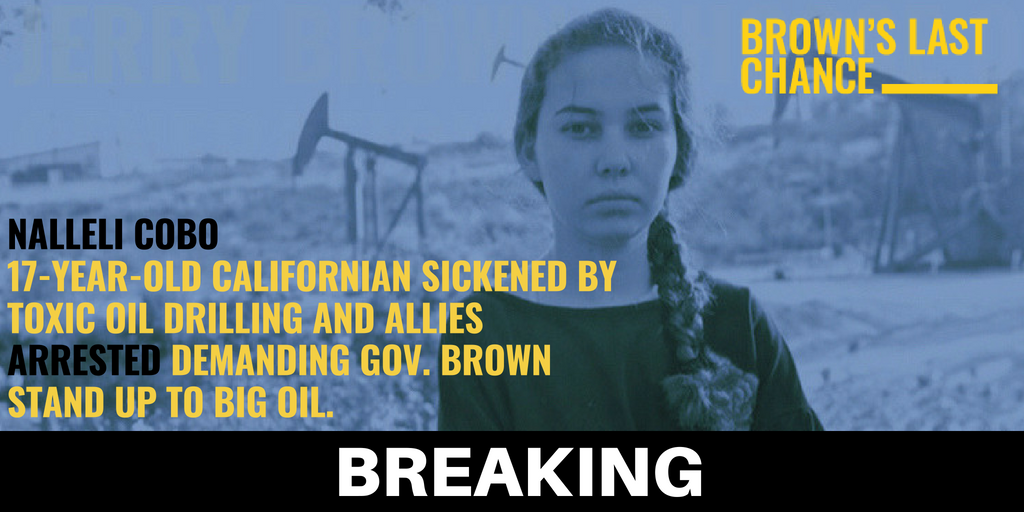Bill McKibben tweet media