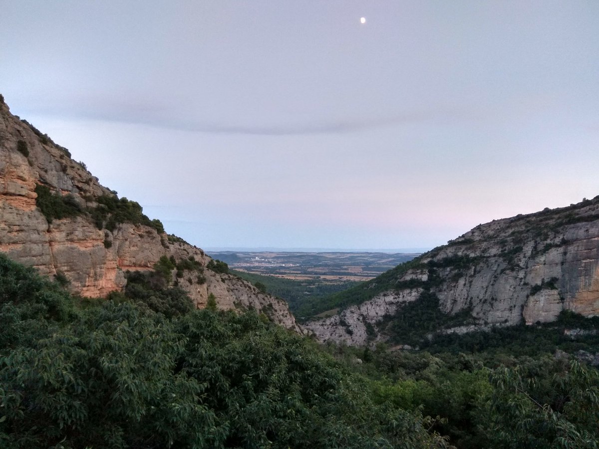 lluiscacau's tweet image. Gui
Llo
Ti
Na
a #Clua
#LaNoguera