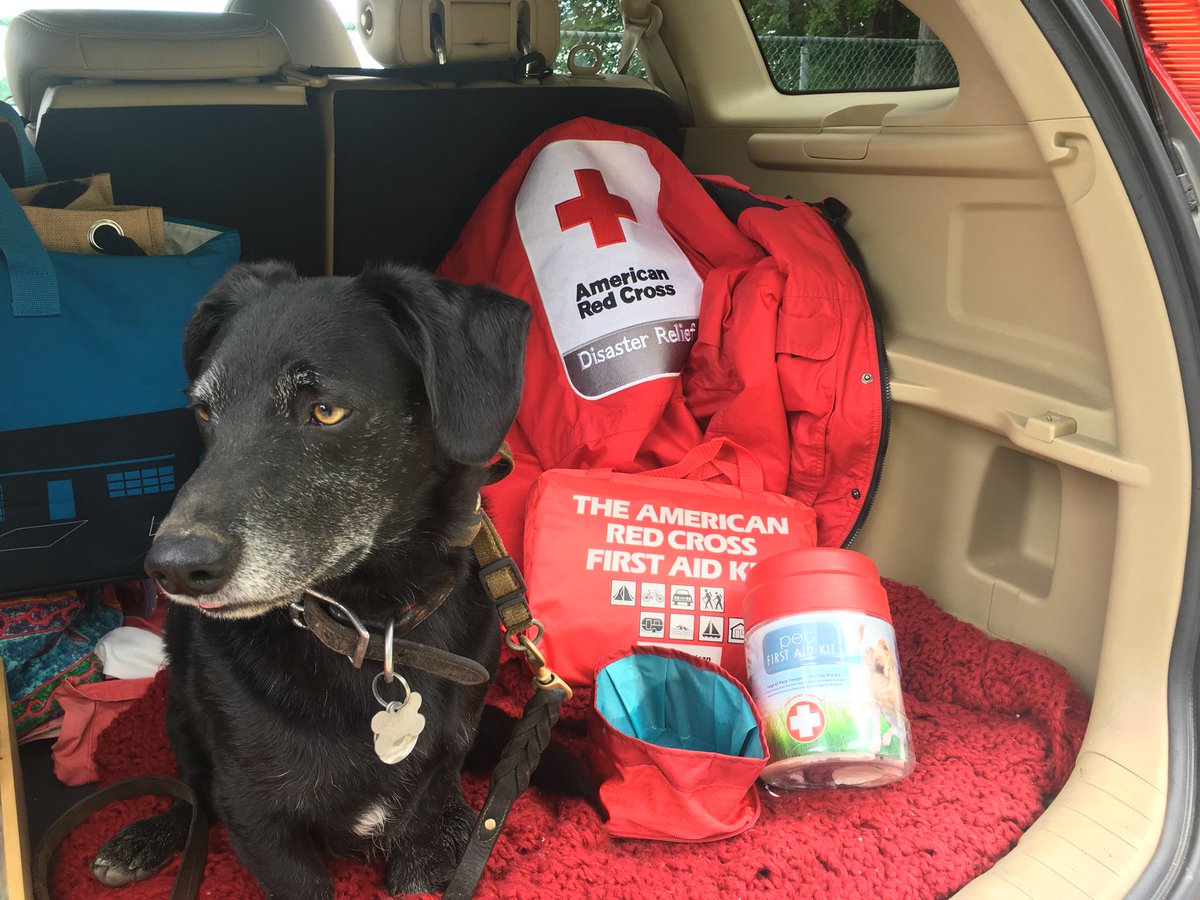 No matter what #MotherNature or everyday #Disasters Occur in #KingsWorld we are #RedCross #Ready! One #FirstAid for me & One #PetFirstAid for #King - #AlwaysPrepared
