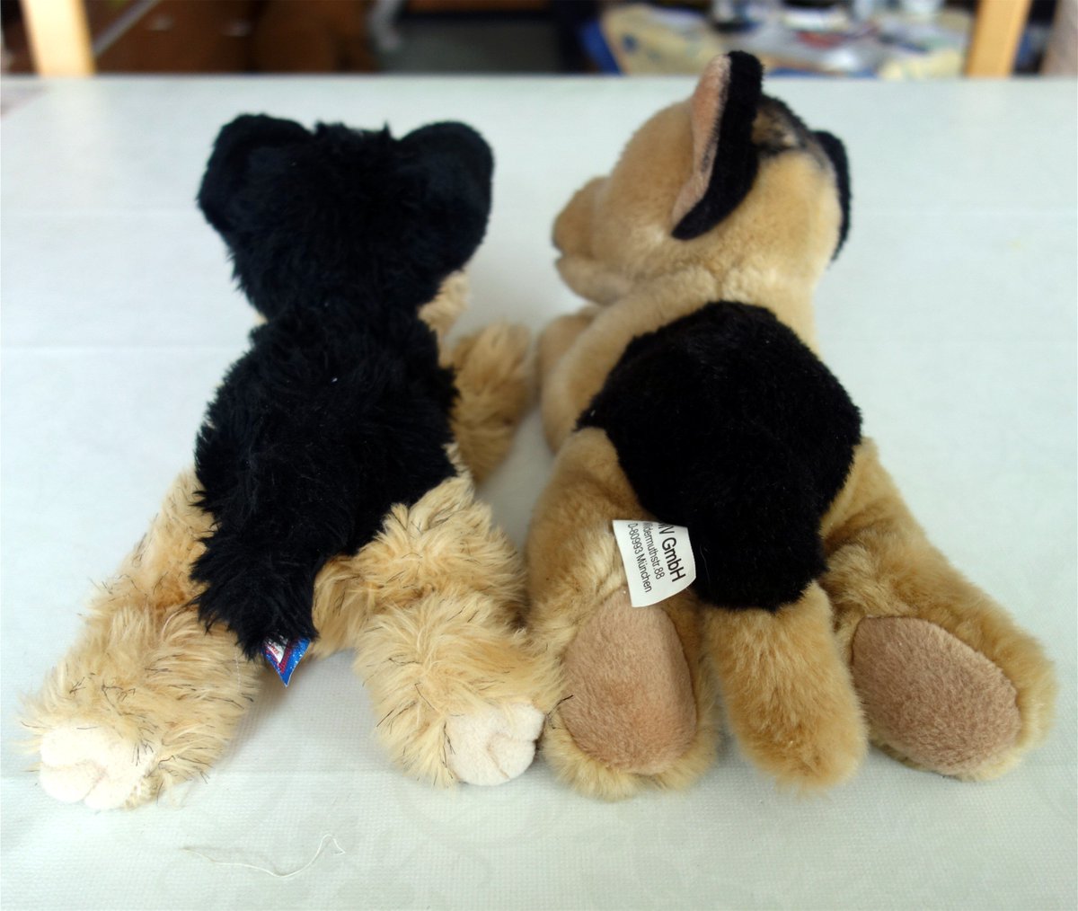 Even the police dogs are on your side! #FurryBottomsAreNotACrime

<a href="/bigjohnbear/">Big John Bear</a> <a href="/Emergency_Teds/">Emergency Teds© 🇺🇦</a>