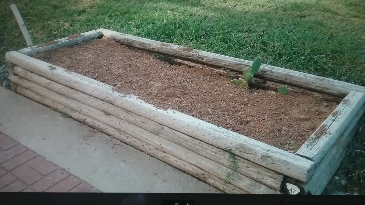 ACCmockingbird's tweet image. This will be a cactus &amp;amp; agave bed soon. We can't wait.