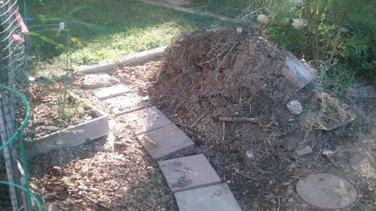 ACCmockingbird's tweet image. This will be our last raised bed  in the garden. Will be using blocks and then will be decorating them in the fall.
