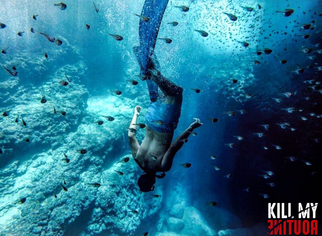 The best view comes under the deepest surface💦🐠
📸: Catherina Franji
#KillMyRoutine #Diving #Summer #Beach #travel #swimming #fish #wanderlust #naturelovers #Adventure #Lebanon #activities #Rush