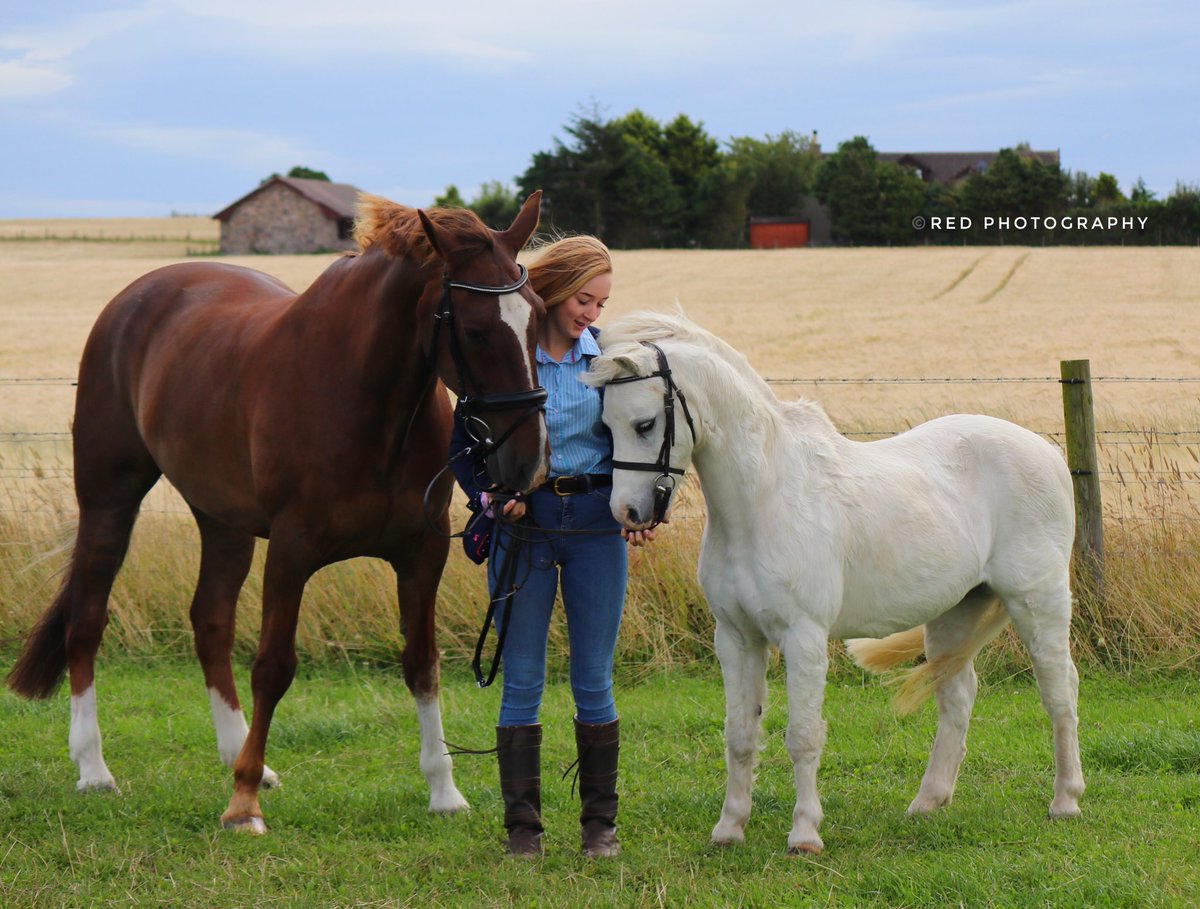 RedPhotography4's tweet photo. A real show of love
Private commission by Red Photography
#equestrian #LOVELOUD #LoveMonday #horsesofinstagram #horseaddict #familyfun #BeautifulDays2018 #truelove #animalsofinstagram #trending #Aberdeenshire #animalsofinstagram #photographer https://t.co/TaGyWqNvaJ