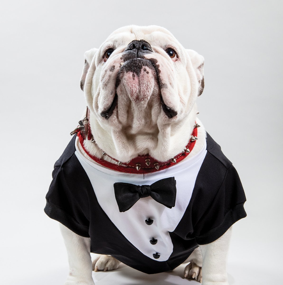 Shared from Photos app
1 photo