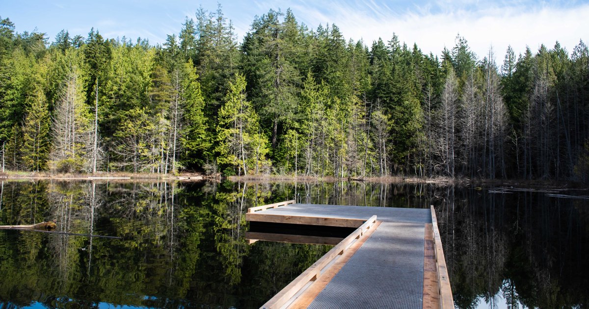 WestVanDistrict's tweet photo. All trails in the #WhyteLake area are now open to the public. Please stay on trails and avoid entering the burned area. Learn more: https://t.co/2YdA3G4kr7 #WestVan https://t.co/ZNql2eQFje